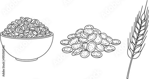 Hand drawn illustration of oat flakes in a bowl a pile of loose oats and a wheat ear perfect for healthy breakfast agriculture or food ingredient designs