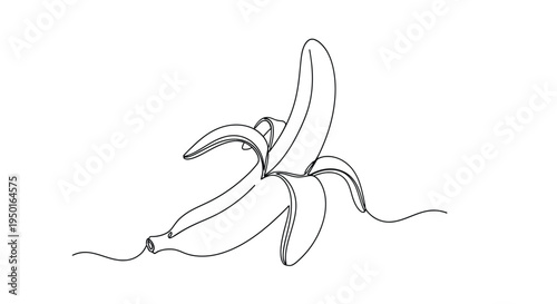 Peeled banana line art illustration with ideal for food concepts