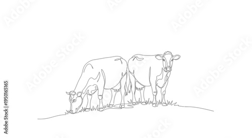 Two cows grazing, minimalist line art, farm concept, simple line draw