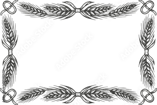 Decorative wheat and grain border frame with knotted ribbons in vintage monochrome