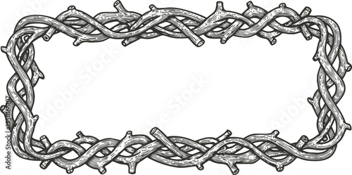 Intricate thorny vine frame hand drawn vector border of twisted branches and sharp thorns in black and white