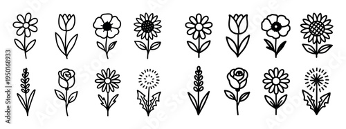 Botany icons with flower rose daisy outline
