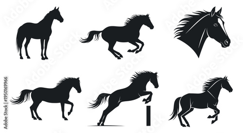 Collection of six black horse silhouettes in various poses for equestrian sport and design