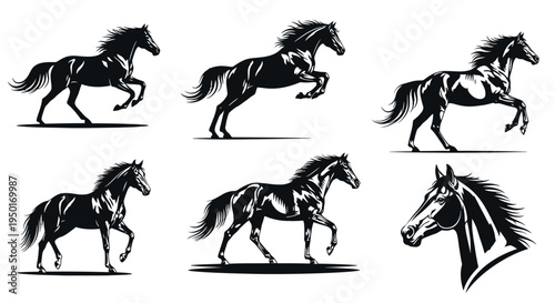 Detailed black and white horse illustrations in dynamic poses for artistic and sports themes