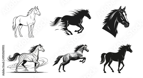 Diverse horse graphics: line art, silhouette, abstract and detailed for creative projects