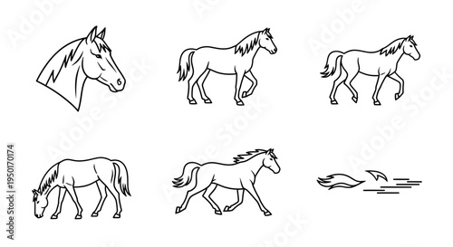 Set of six horse line art illustrations, featuring head, walking, trotting, and grazing poses