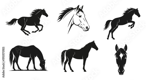 Collection of six horse silhouettes in various dynamic poses including galloping, rearing, and grazing