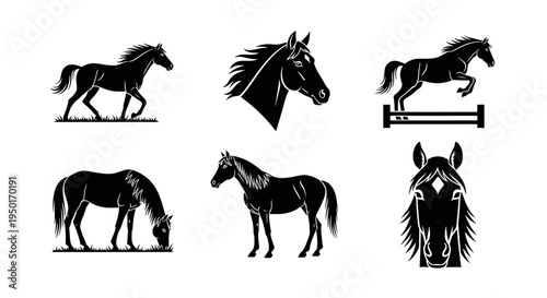 Set of six horse illustrations in black and white silhouette, including galloping, jumping, and grazing poses