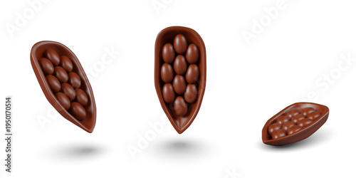 Half cocoa fruit with beans. Vector realistic model in different positions