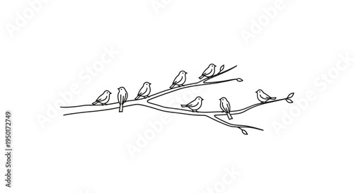 A group of birds on a branch.