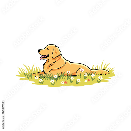 Golden Retriever Relaxing in a Grassy Field