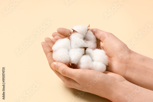 Female hands with cotton fl...