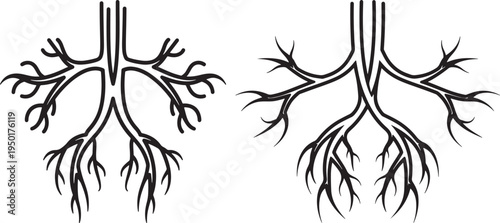 Branching Structure Icons: Tree Root or Vein Outline Vector with White Background with Design Element with Line Art