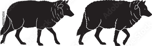 Silhouette of two wolves walking, with detailed fur texture in black outline on a white background. Wild animal, nature graphic, Side View, Spirit Animal