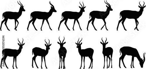 Antelope silhouette collection, gazelle animal silhouettes set, wild African antelope standing walking grazing poses isolated on white background