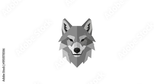 Gray wolf head illustration on white background.