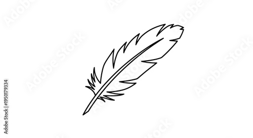 a single black feather on white background.