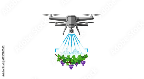 Drone spraying pesticide on grape vines.