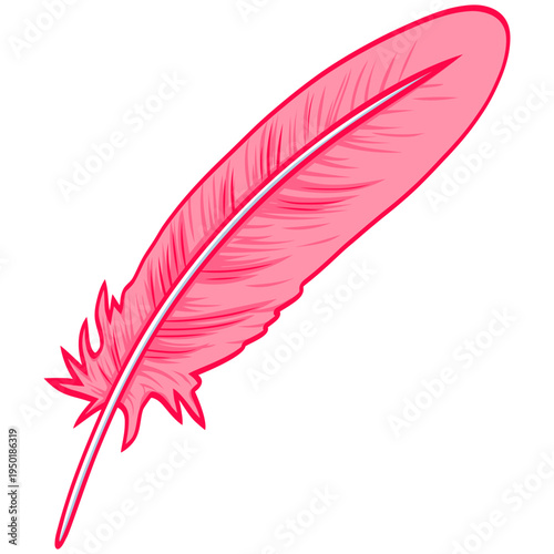 Pink Feather Illustration Vector Drawing