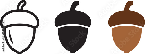 Three illustrations of an acorn: outline, silhouette, and full color