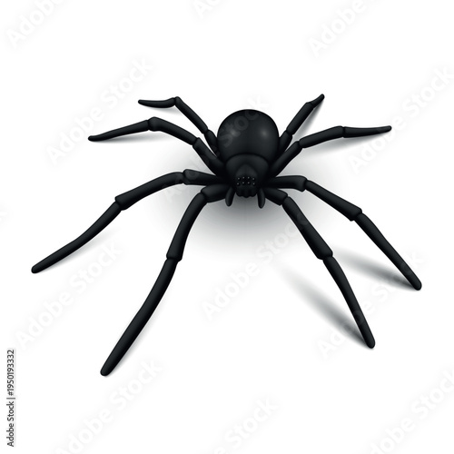 An illustration of a black spider on a white background. A simple vector icon clearly depicting the physiological structure of this insect. Suitable for Halloween decorations or educational materials.