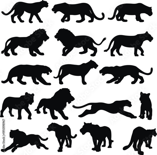 Big cats silhouettes collection including lion, tiger and panther in different poses, wild animal predator set isolated on white background, wildlife illustration