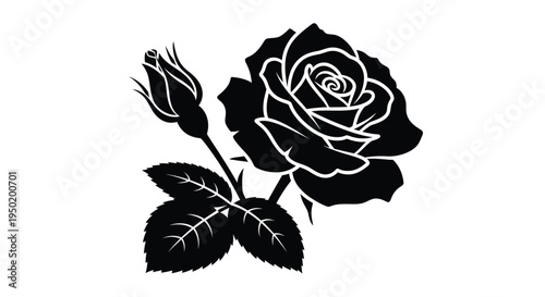 Elegant black rose illustration with a budding companion a striking silhouette