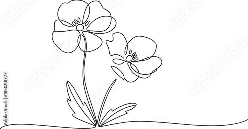 White orchid flower vector illustration with leaves and blossom