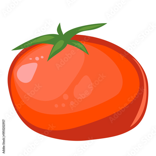 Fresh ripe tomato vegetable for cooking on a transparent background