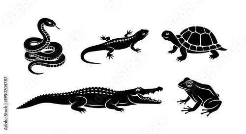 Black silhouettes of reptiles and amphibians.