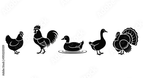 Black silhouettes of various farm birds.