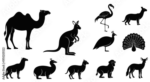 Black silhouettes of various exotic animals.