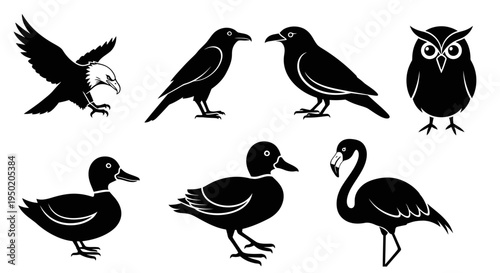 Collection of various bird silhouettes flying and standing.