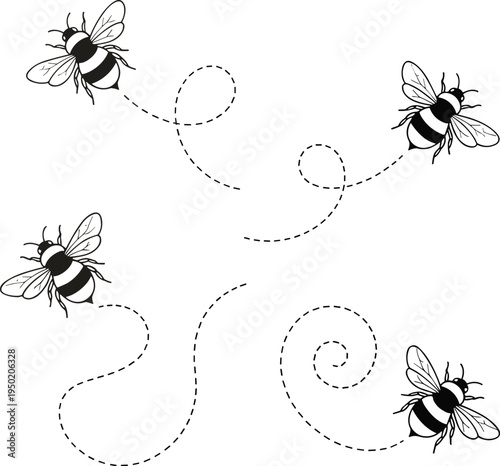 Bee flying path vector collection, hand drawn honey bee insects with dotted swirl flight trails, minimalist black line illustration isolatedBee flying path vector collection, hand drawn honey bee inse