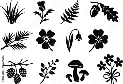 Nature forest plant icons set with black silhouette leaves flowers mushroom acorn pine cone clover thistle fern grass for digital design.