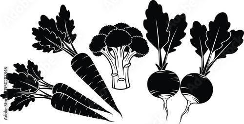 Black and white vector silhouette of fresh garden vegetables including organic carrots, broccoli floret, and healthy radishes with green leaves.