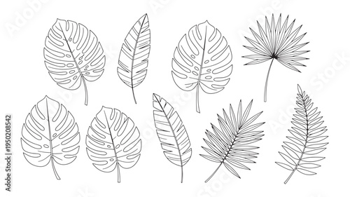 Set of 8 leaf icons vector, black and white, line art