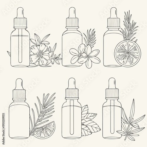 Line art illustration of essential oil bottles and botanical elements