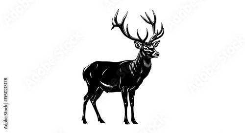 Majestic Stag with Large Antlers Standing Proudly.