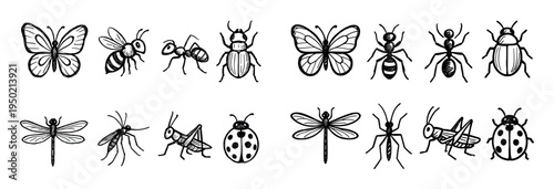 Insect icons with butterfly bee ant outline