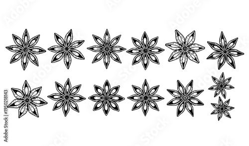 Hand drawn star anise pods botanical sketch set with spice seeds vintage engraving style vector illustration for packaging and cookbook design isolated on white background