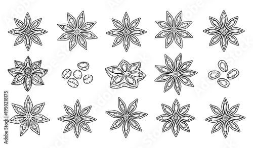 Star anise outline icon set with hand drawn spice seed pods botanical engraving style vector illustration for food packaging and recipe book isolated on white background
