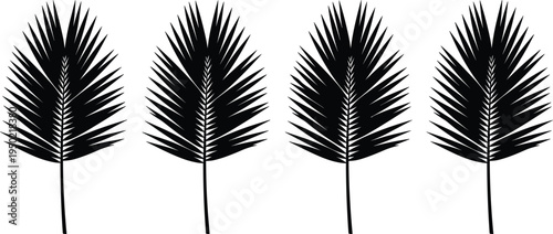 Tropical palm leaf silhouette collection with exotic frond botanical elements summer foliage cad drawing flat vector illustration for graphic design