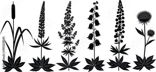 Black wild meadow flower silhouette collection with cattail lupine bluebell and thistle botanical elements cad drawing flat vector illustration for design