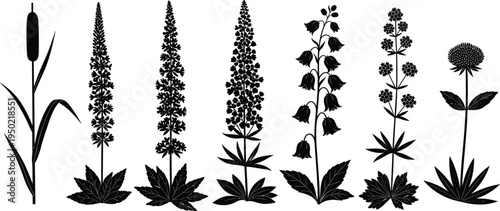 Wildflower and aquatic plant silhouettes set including cattail, foxglove, lupine, bellflower, and meadow flowers for nature-themed graphic design and vector illustration.