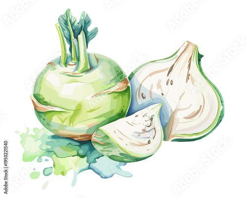 Watercolor illustration of kohlrabi vegetable with sliced pieces isolated on transparent background