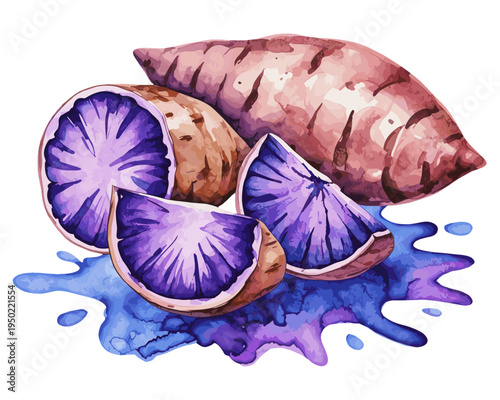 Watercolor illustration of purple sweet potato with sliced pieces and colorful paint splash