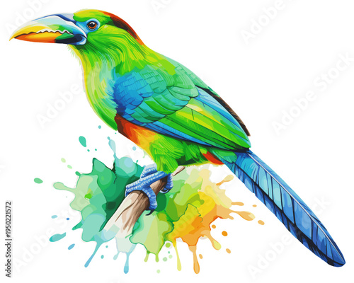 Watercolor illustration of a colorful toucanet bird with long tail perched above vibrant paint splash
