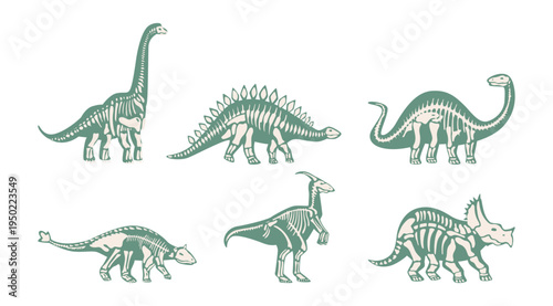 Prehistoric extinct animals and creatures fossils set, isolated skeletons of dinosaurs. Vector archaeology museum exhibition, dinos remnants. Ancient mammals and carnivores with big bodies