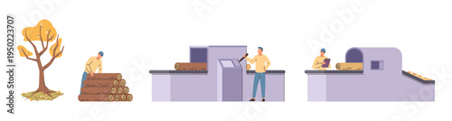 Wood processing on paper factory. Vector in flat style, isolated set of machinery and tasks performed by worker in industry. Papermaking steps and quality control. Business and production